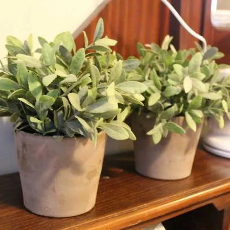 Mono 이스탄불